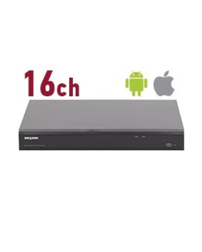 RK2216. Видеорегистратор IP 16-канальный. Beward в Электростали