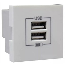 Розетка USB двойная, зарядная, белая (45439 SBR): Розетка USB двойная