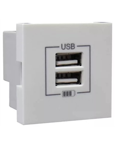 Розетка USB двойная, зарядная, белая (45439 SBR): Розетка USB двойная в Электростали