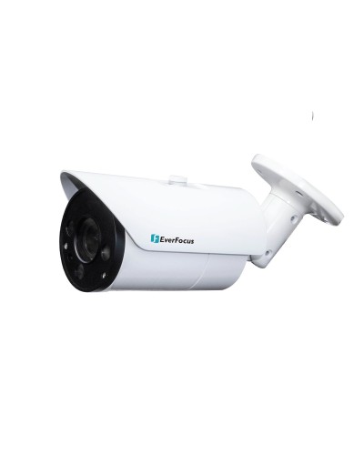 EZN-268V. Видеокамера IP купольная. EverFocus в Электростали