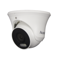 FE-IPC-D5-30pa. Видеокамера IP купольная. Falcon EYE