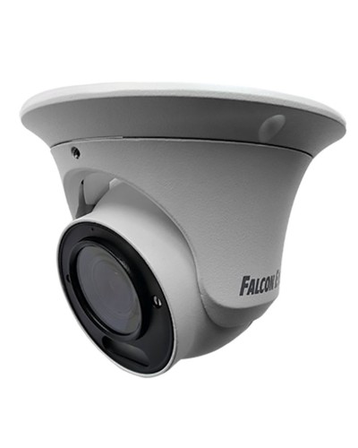 FE-IPC-DV2-40pa. Видеокамера IP купольная. Falcon EYE в Электростали