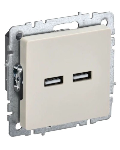 Розетка USB A+A 3,1А РЮ10-1-БрКр бежевый BRITE (BR-U21-D31-K10). Розетка USB. IEK в Электростали