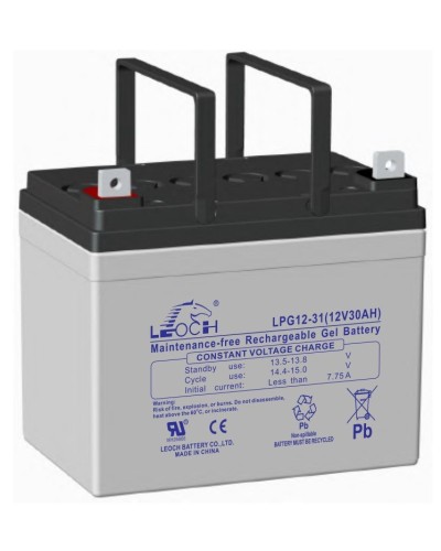 LEOCH LPG 12-31. Аккумулятор герметичный свинцово-кислотный. LEOCH в Электростали