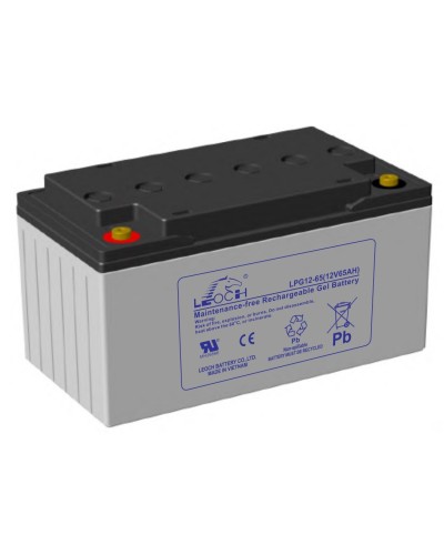 LEOCH LPG 12-65. Аккумулятор герметичный свинцово-кислотный. LEOCH в Электростали