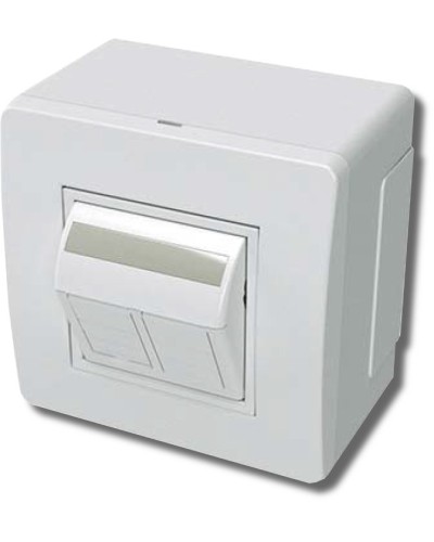 Коробка в сборе с 2 розетками RJ45, кат.5е, белая (10656): Коробка в сборе в Электростали