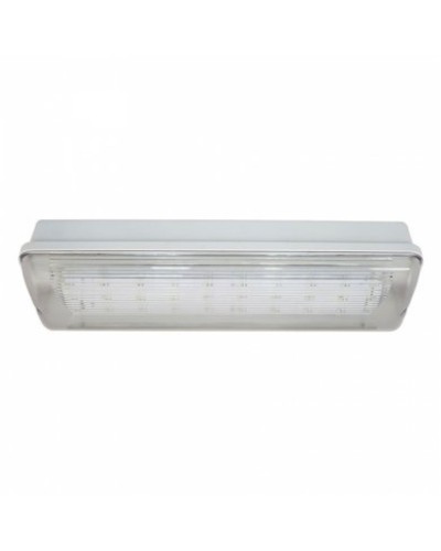 SL-213-30LED1.8 исп. 1 IP65. Светильник аварийного освещения. ИП Раченков А.В. в Электростали