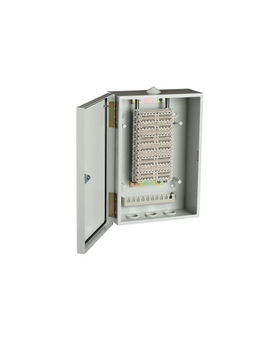 ШРН-В/100-Р (120908-00122). Шкаф ШРН-В/100-Р, плинт ПВТ-10Р-5е. ССД (Связьстройдеталь) в Электростали